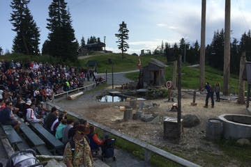 Audience watches a log-chopping demonstration at an outdoor event with trees and a small stage.