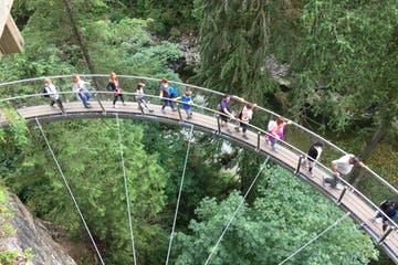 People walking on a curved suspension bridge over a lush, green forest.