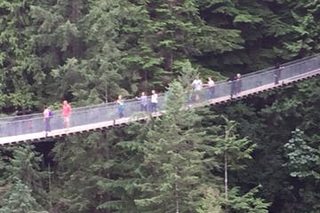People walking on a long suspension bridge through a lush green forest.