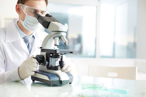 Doctor Using Microscope Doctor Using Microscope