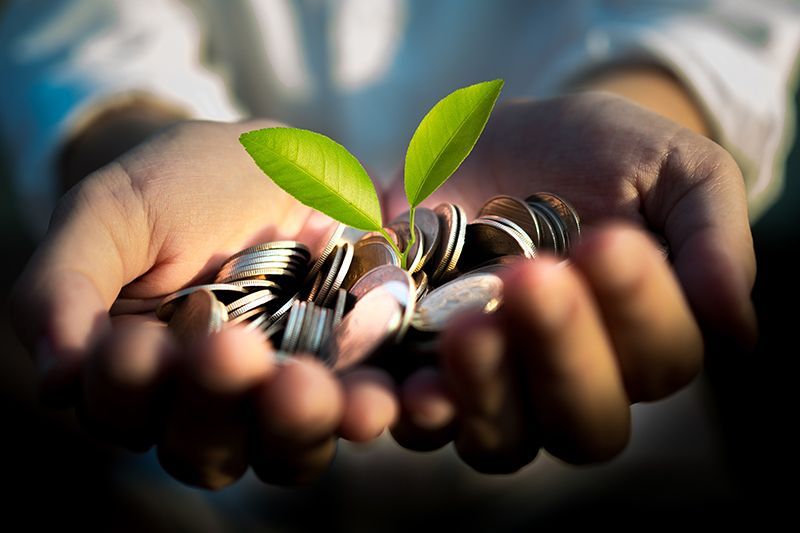 Person Holding Coins