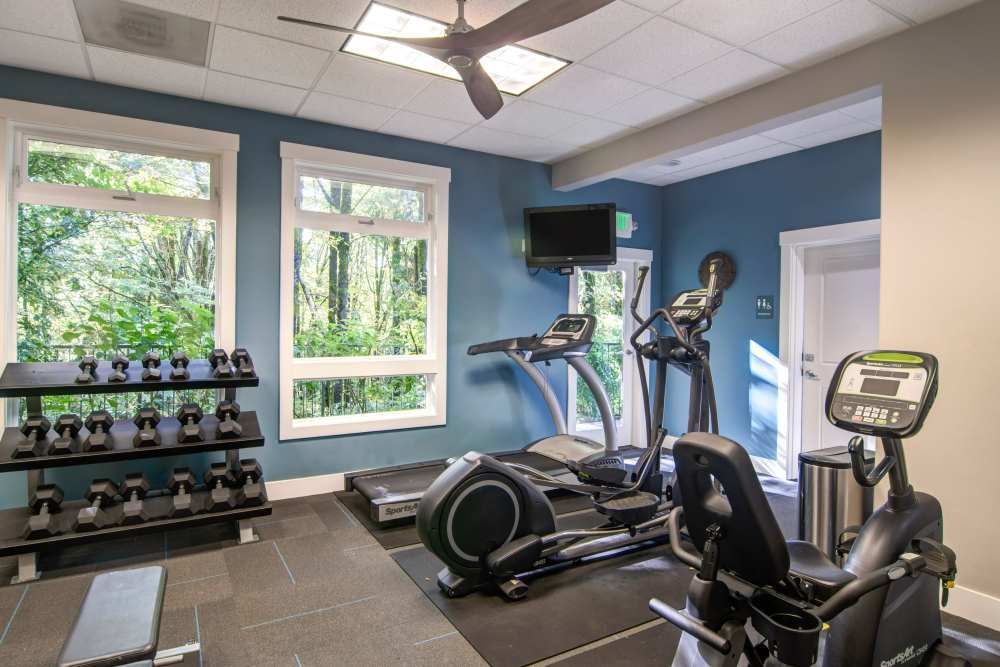 Gym with exercise equipment, dumbbells, and windows overlooking greenery at Sofi at Forest Heights, offers apartments for rent in Portland, OR. Dark blue walls.