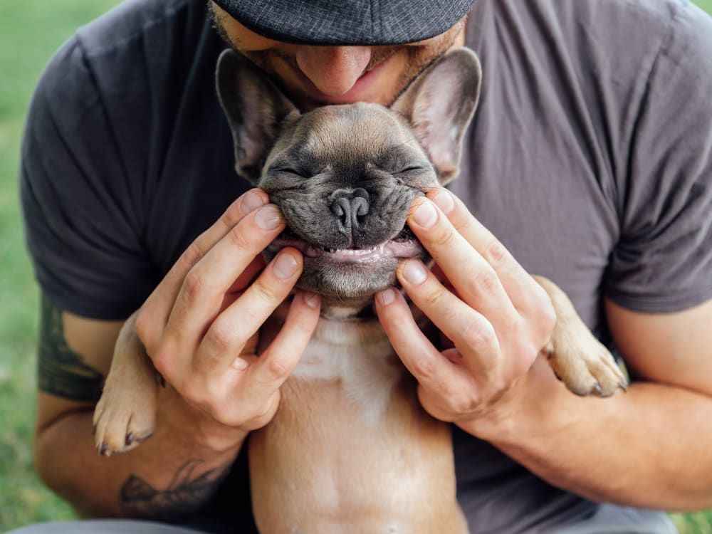 Man holding a brown French bulldog puppy, pulling its cheeks to make it smile; both have closed eyes.