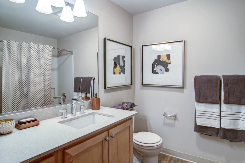 Bathroom with vanity, toilet, artwork, towels, and shower curtain at Sofi at Forest Heights, offers apartments for rent in Portland, OR. Neutral tones, modern decor.
