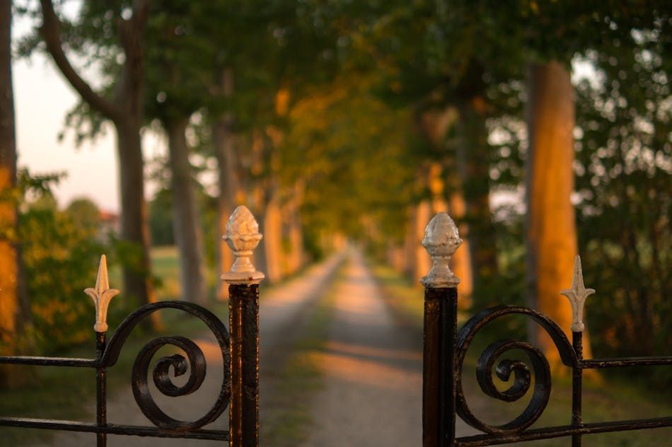 Peaceful pathway symbolizing choices between burial and cremation services for Barrington families