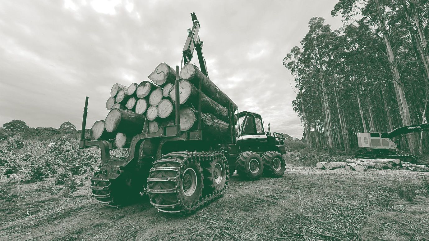 Logging truck carrying stacked timber on a gravel road in a forest clearing