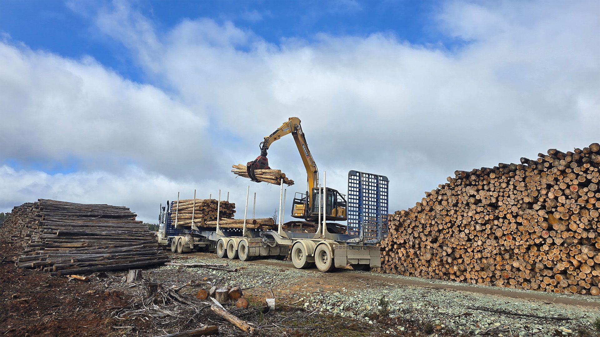 Excavator loading logs in a lumberyard with stacked wood piles under a cloudy sky