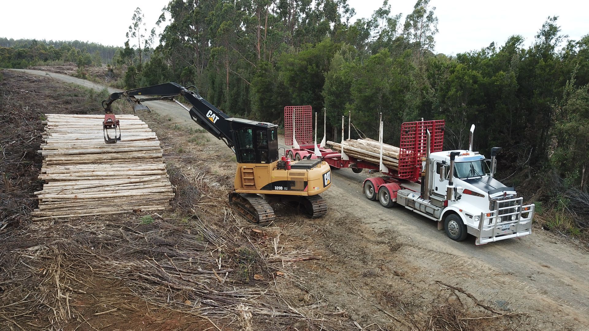 Excavator loading logs onto a truck on a dirt road in a forest, gray and green hues.