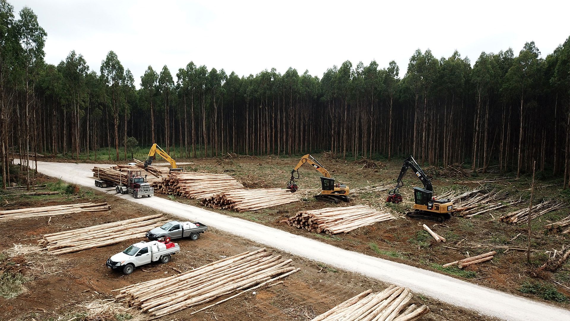 Logging operation with trucks, excavators, and piles of logs in a forest.