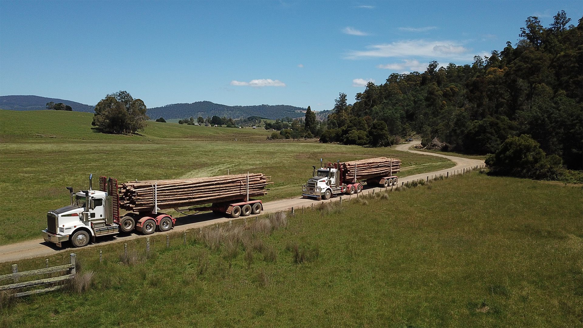 Logging trucks hauling cut timber along a winding dirt road through green farmland under a clear sky