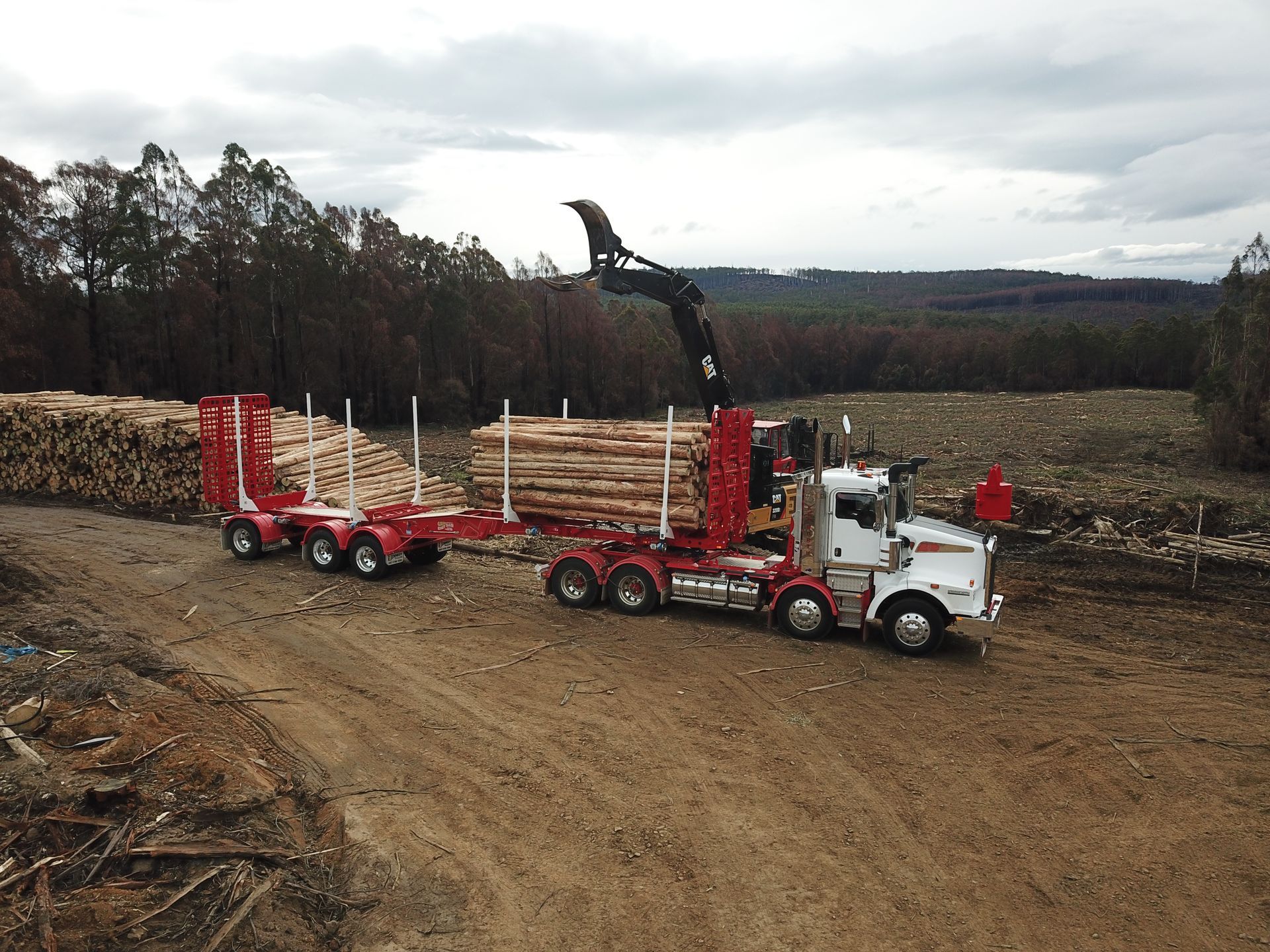 Loading freshly harvested logs onto log truck.