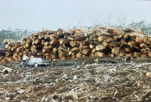 Robert Kerrison posing in front on tree logs in the early 2000s.