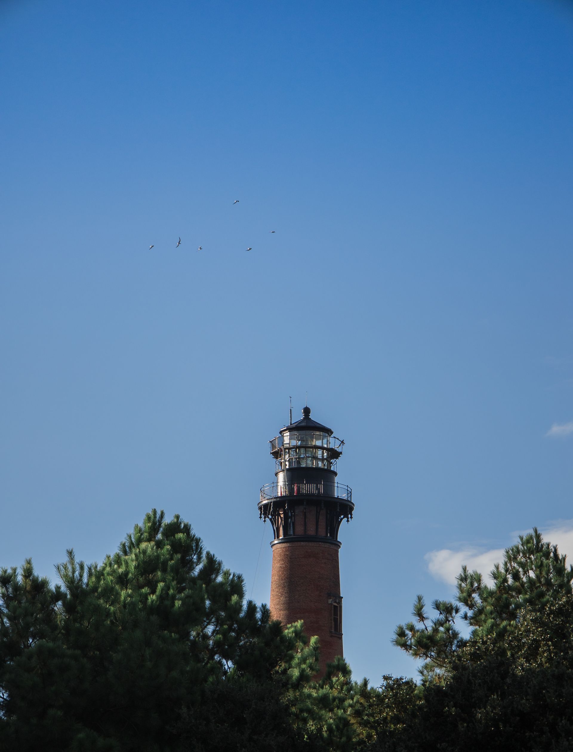 A lighthouse is surrounded by trees and a blue sky