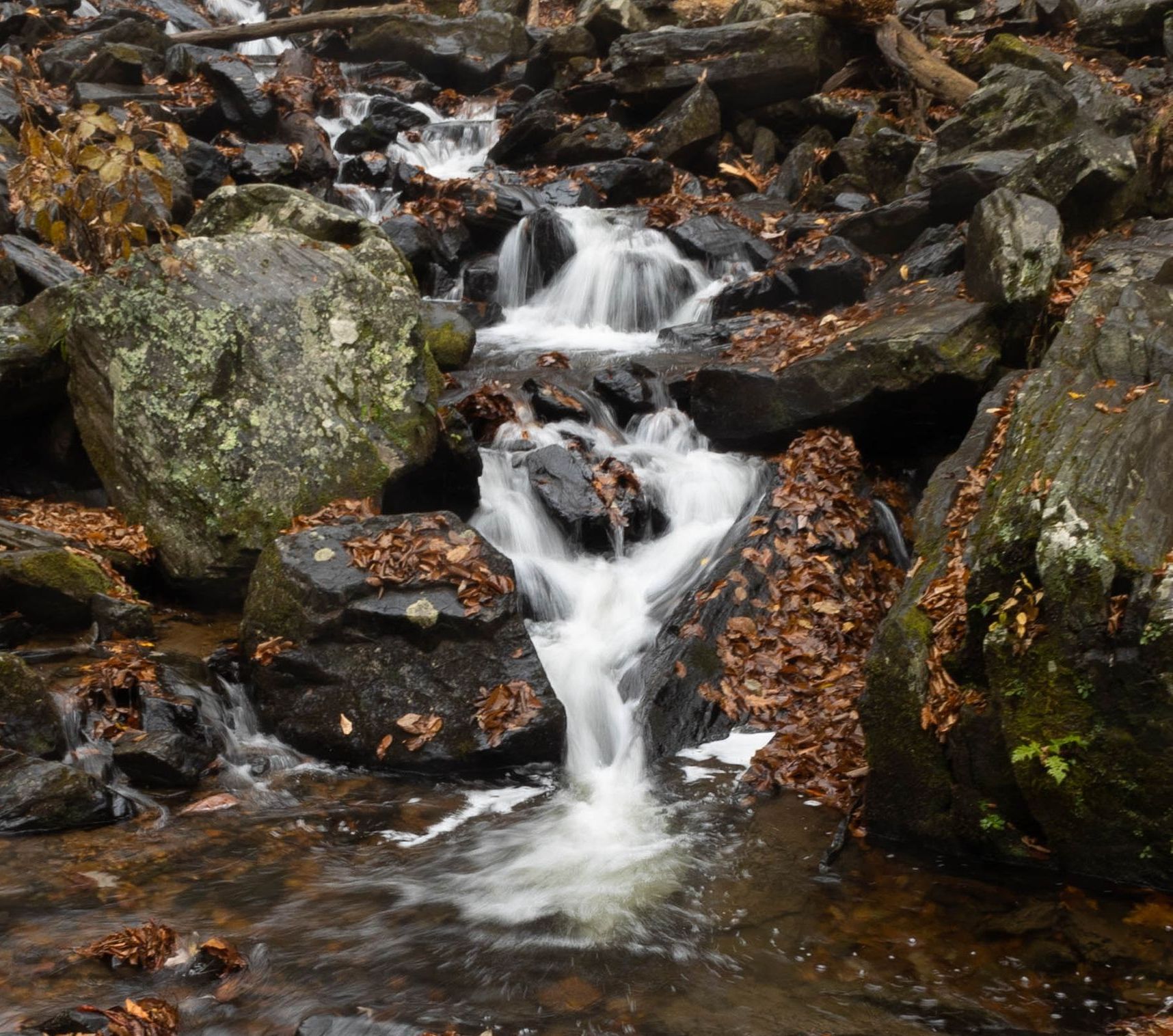 A small waterfall is surrounded by rocks and leaves