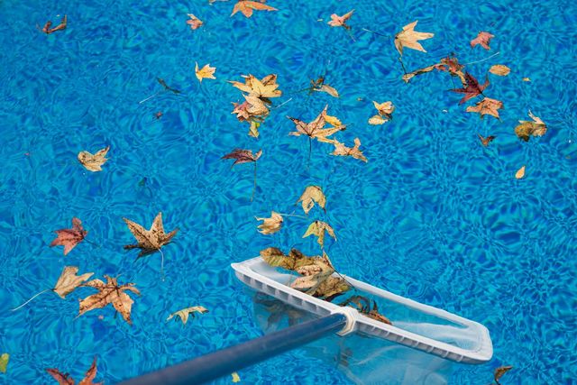 A pool cleaner is scooping leaves out of the water.