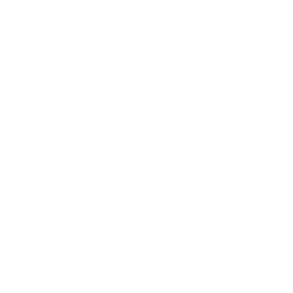 LA NUOVA TESTERA LOGO