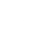 LA NUOVA TESTERA LOGO