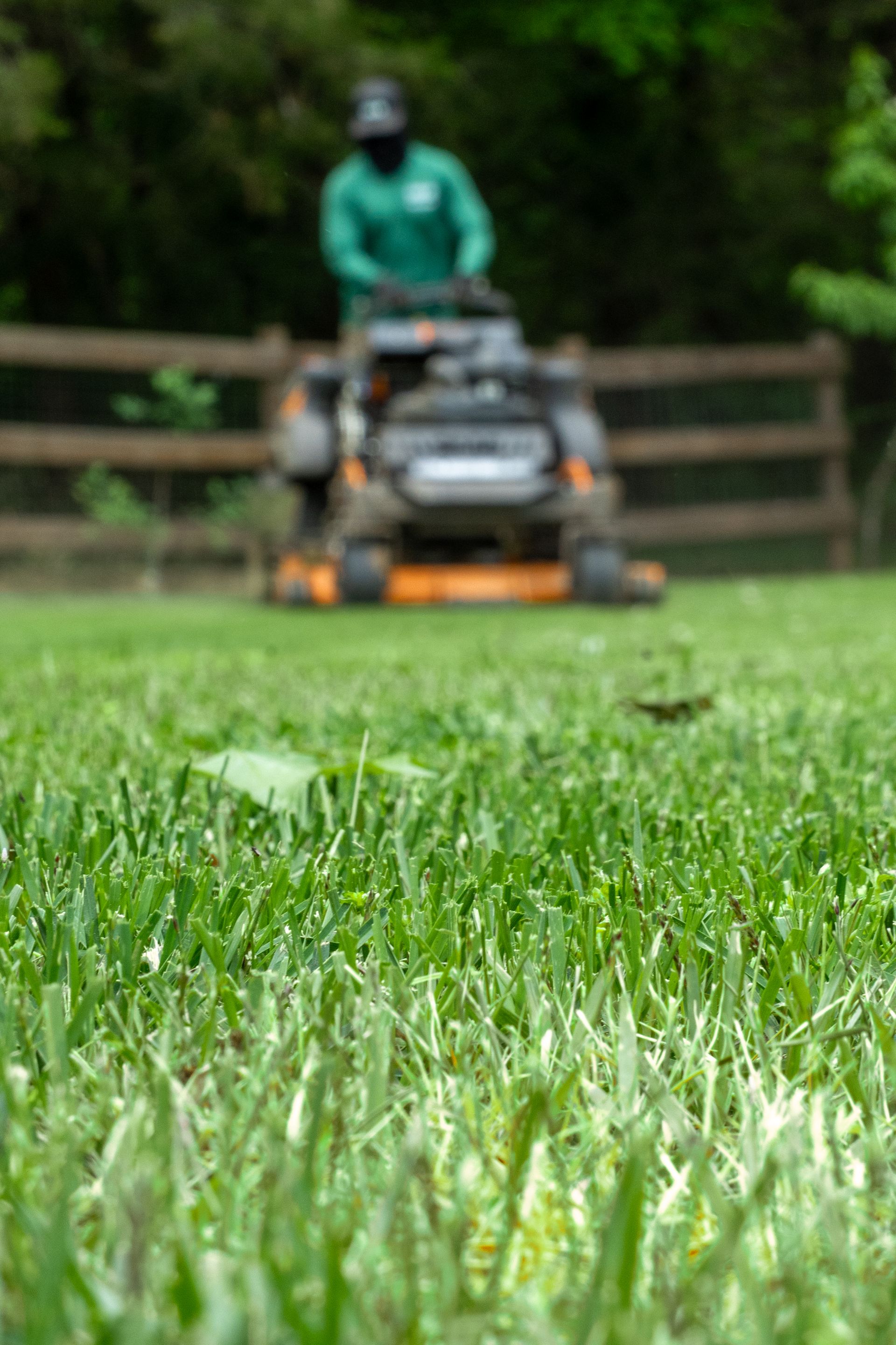 Person mowing a green lawn with a push mower in front of a wooden fence.