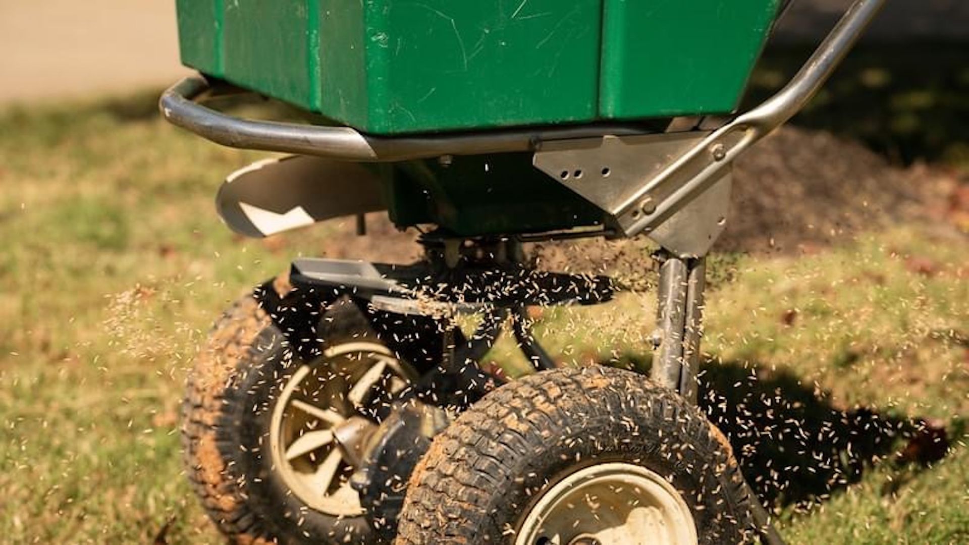 A green spreader is spreading fertilizer on a lush green lawn.
