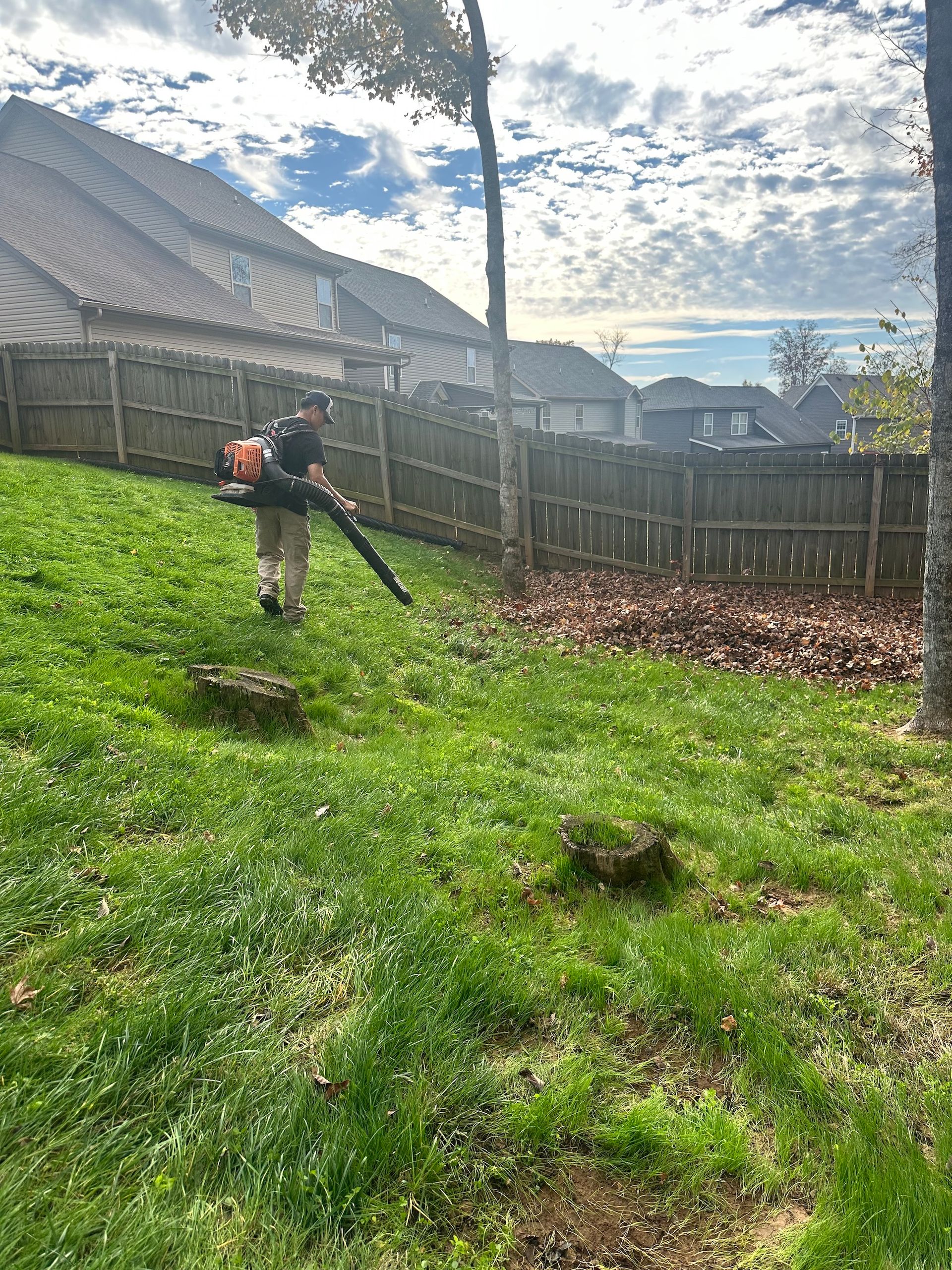 A man is blowing leaves in a backyard with a leaf blower.