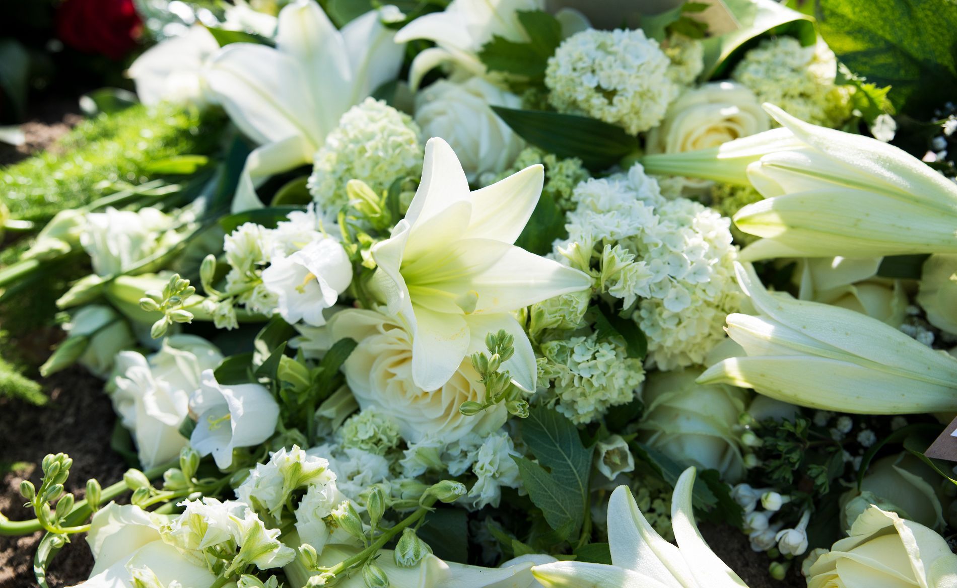 Piante e fiori finti