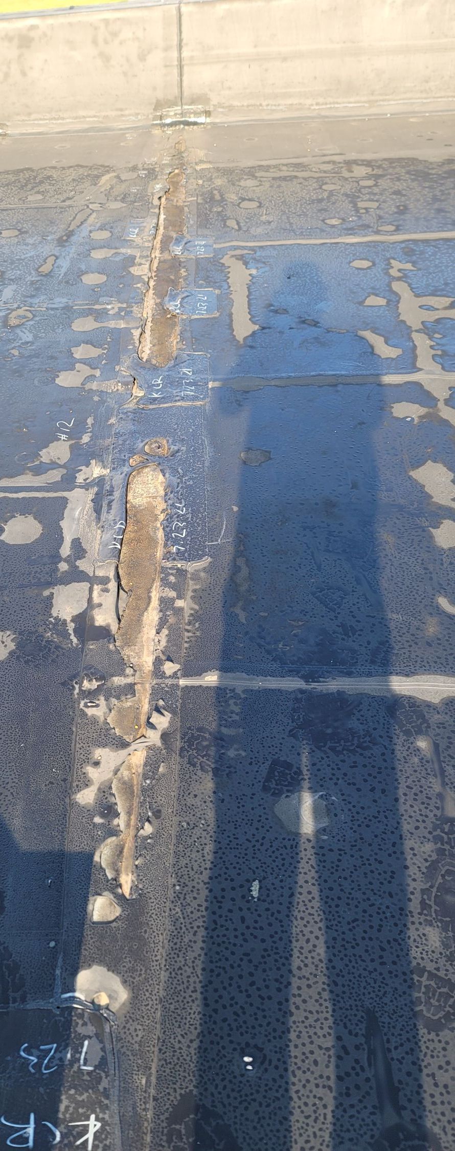 Shadow of a person on wet pavement; sunlight, asphalt, and yellow painted line.