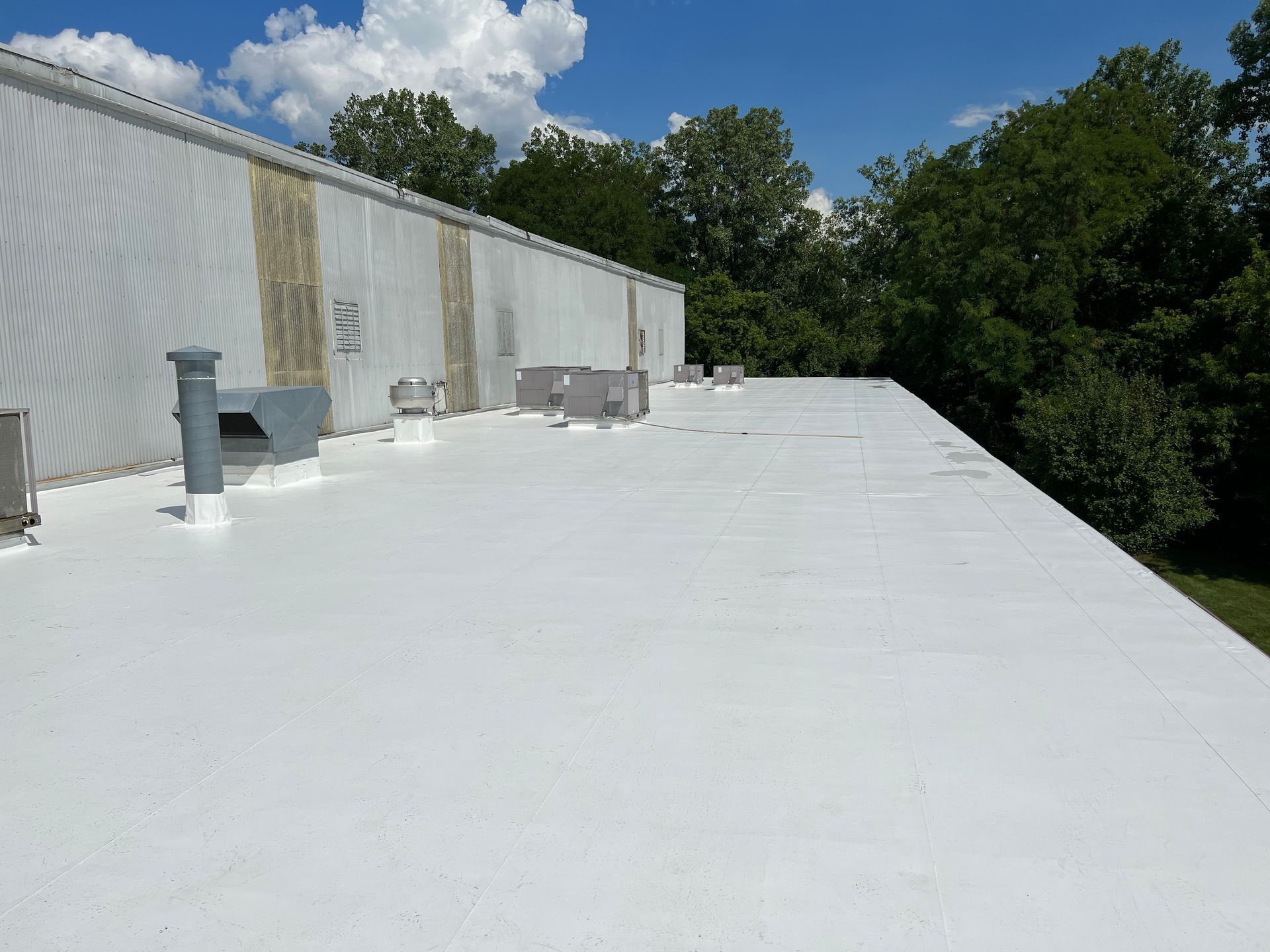 White commercial roof on a sunny day; vents and trees in background.