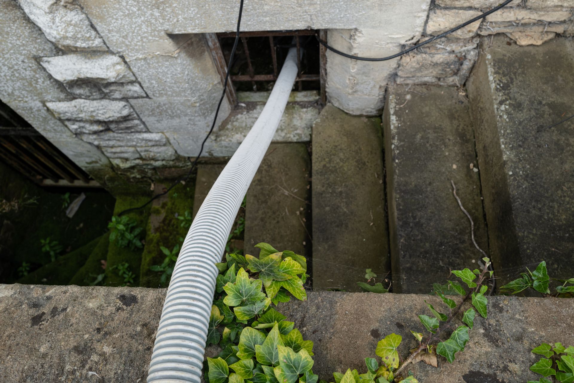 White hose running through a wall opening beside concrete steps and green plants outdoors