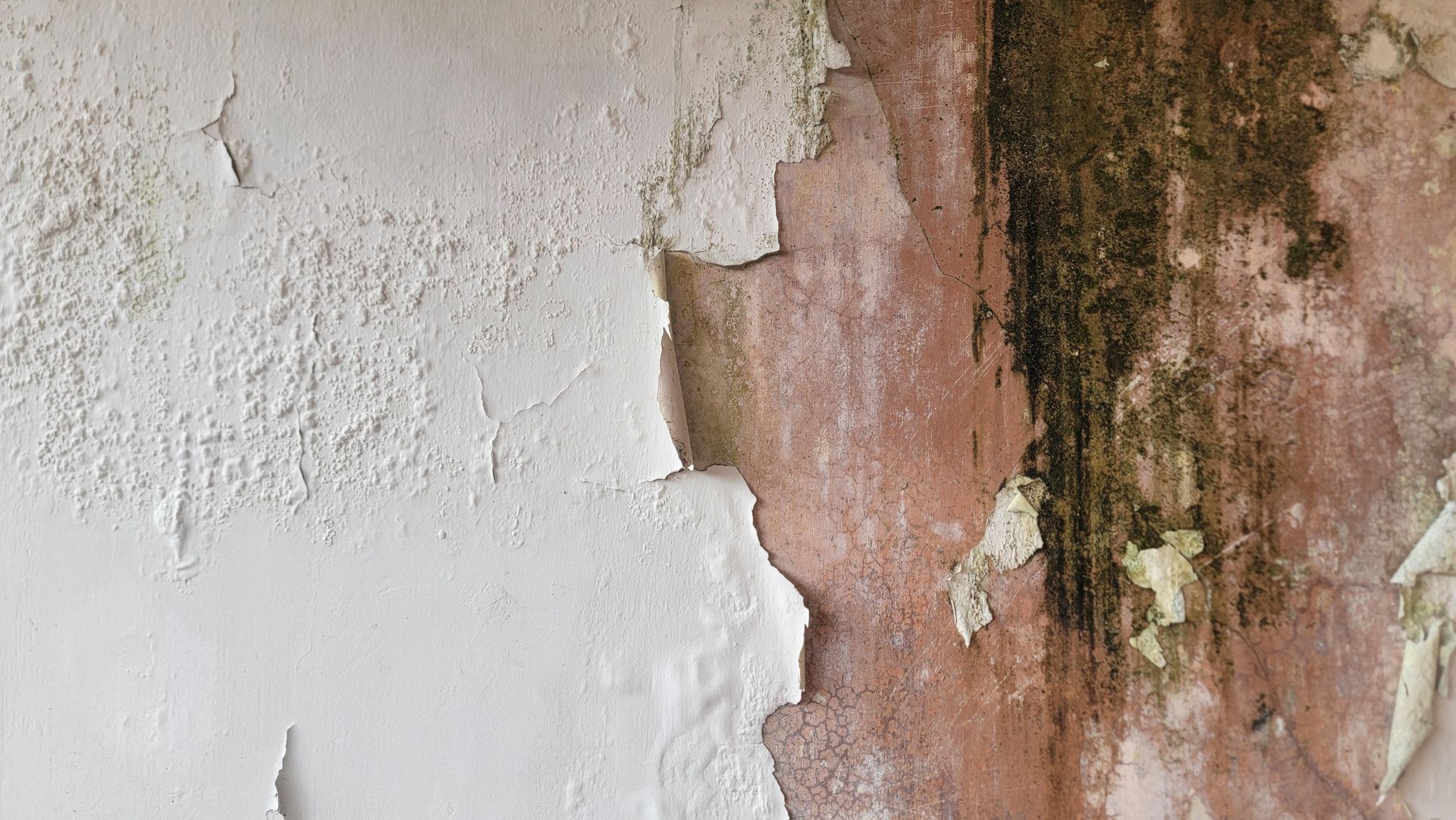 Peeling white wall paint exposing pink and dark brown water damage or mold.