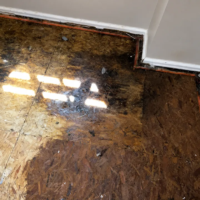 Damaged plywood subfloor with dark water stains beside a white wall and baseboard trim