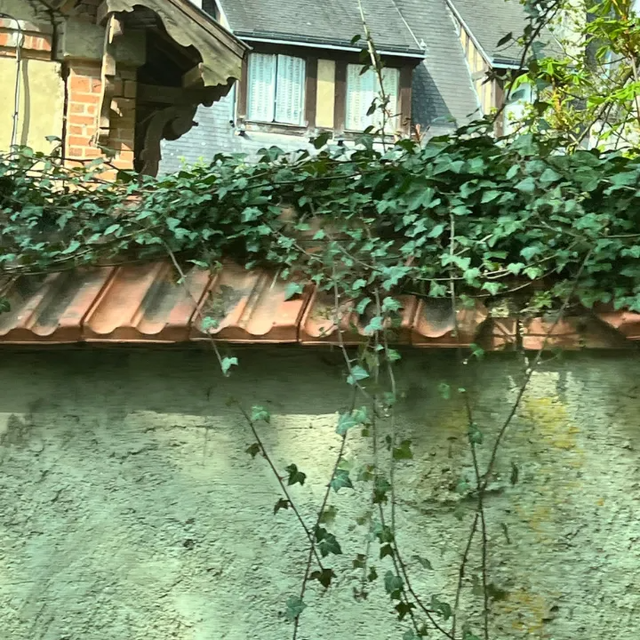 Ivy-covered brick wall and terracotta roof beneath a house with dormer windows and stone chimneys