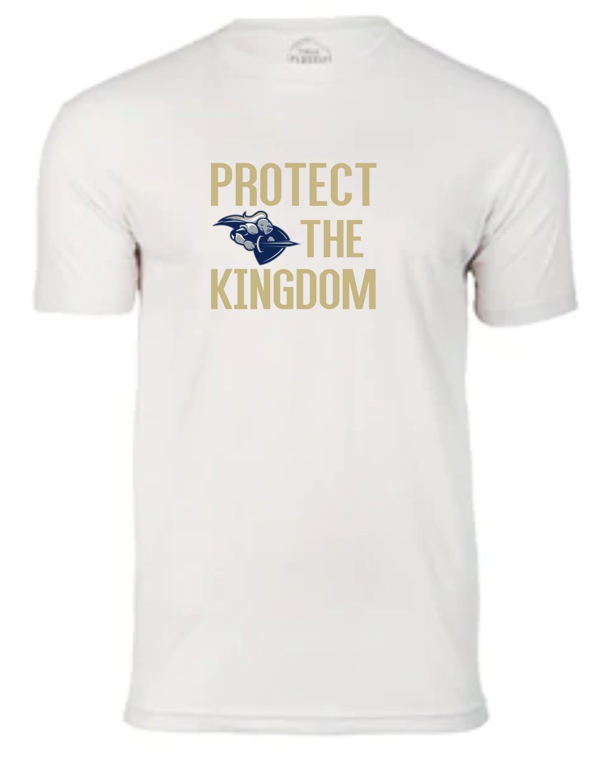 Protect the Kingdom