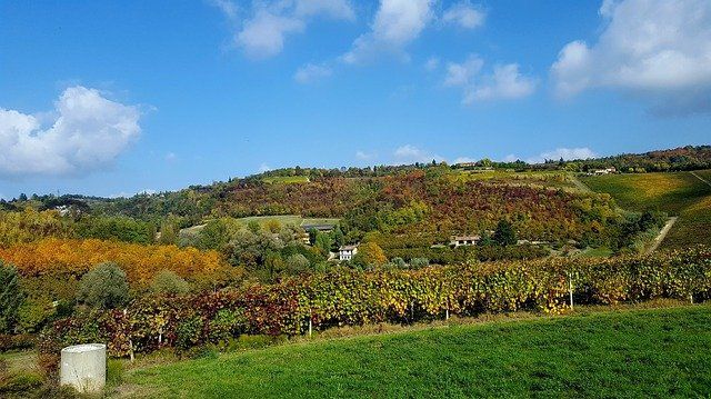 Paesaggio collinare