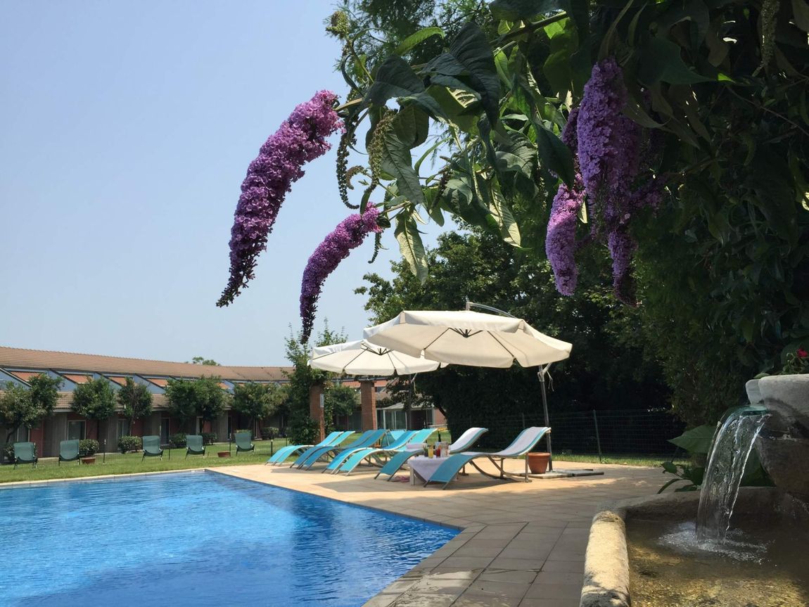 Piscina dell'hotel