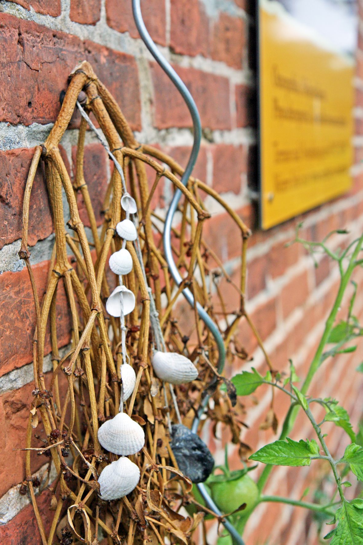 Muscheln an der Hauswand