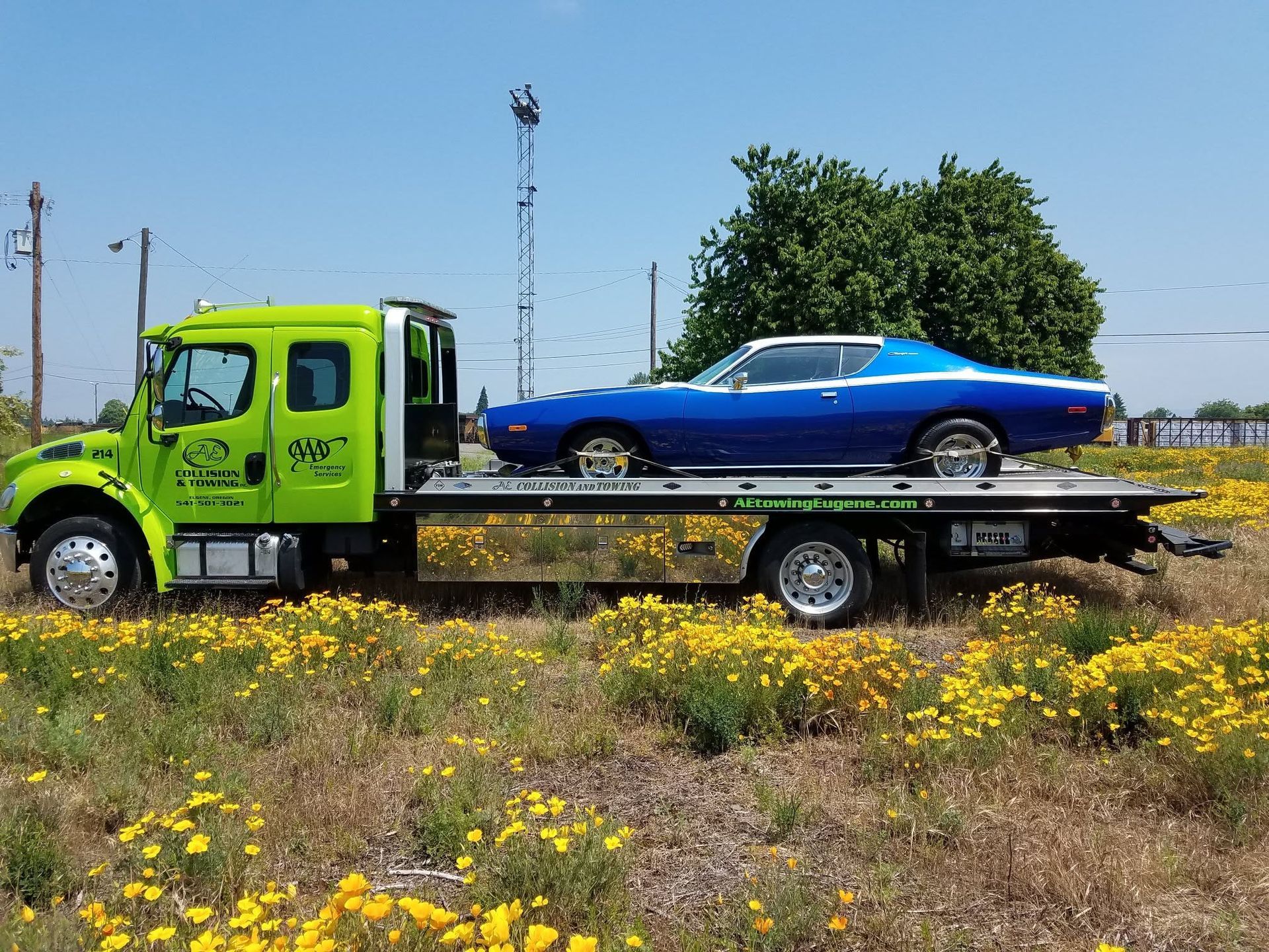 Green tow truck hauling a blue classic car across a grassy field under a clear sky