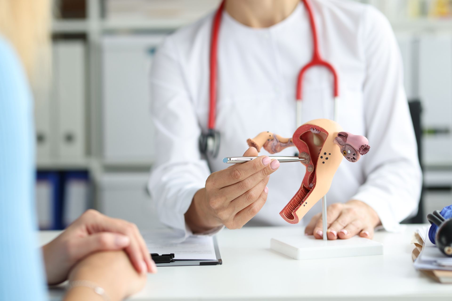 A doctor is explaining something to a patient on a model of the female reproductive system. A doctor is explaining something to a patient on a model of the female reproductive system.