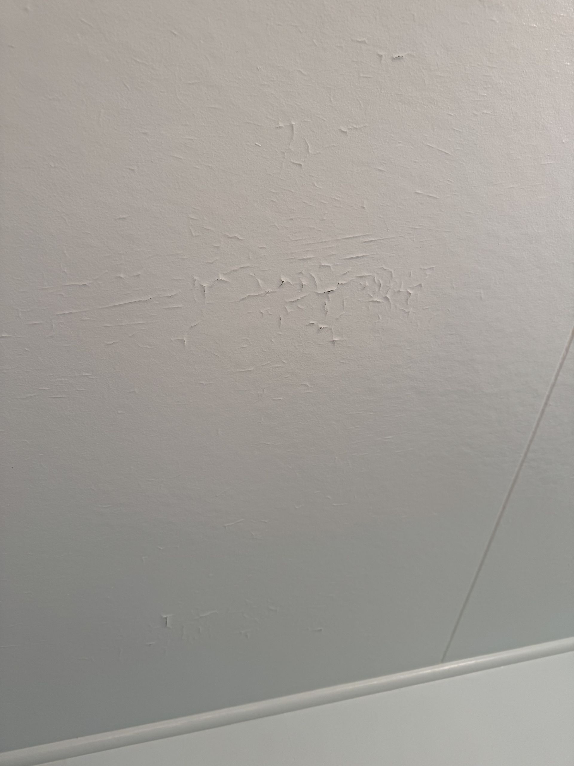 Painting a white wall with a brush beside a tray, rollers, and paint cans