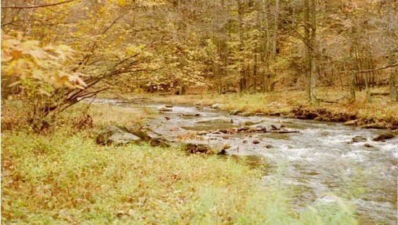 River and Trees — Kersey, PA — Automatic Turning & Machining Inc