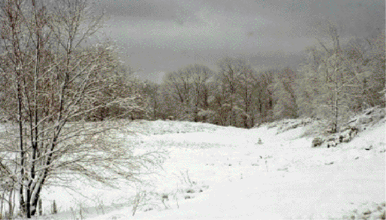 Winter — Kersey, PA — Automatic Turning & Machining Inc