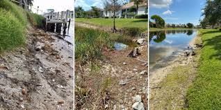 Three photos showing shoreline erosion, exposed sediment, and damaged vegetation along a residential pond.