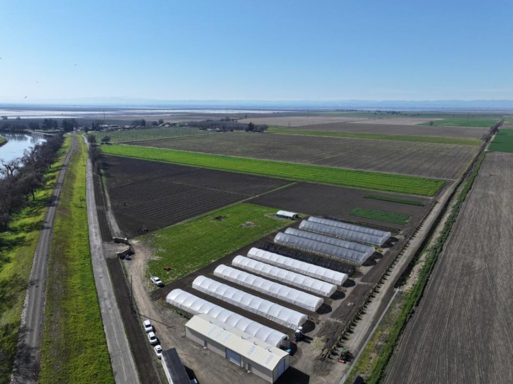 Mendocino View Farms Colusa County, CA