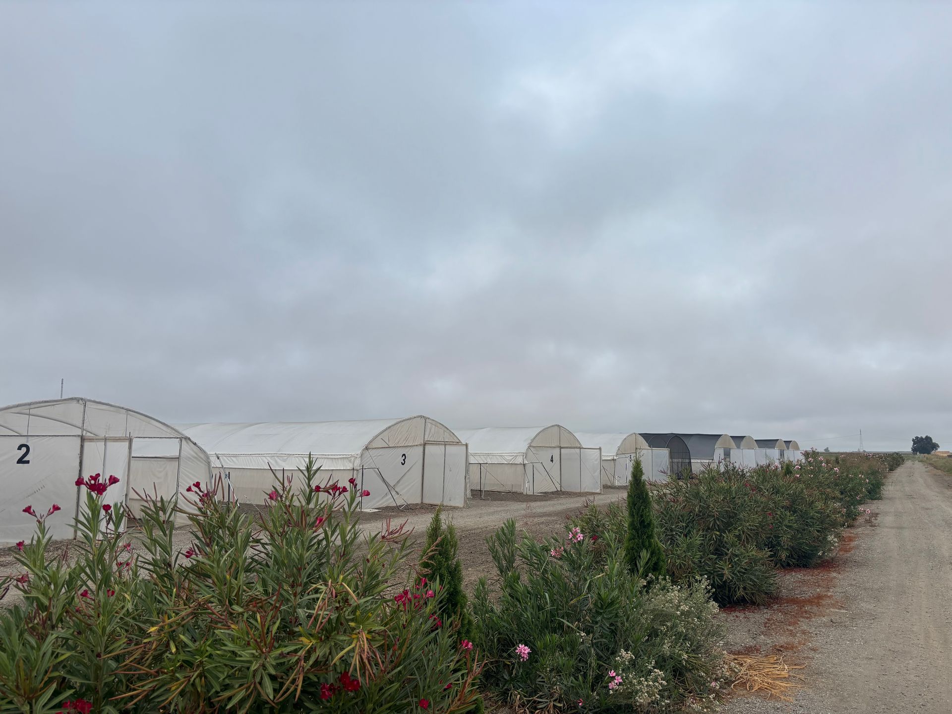 Mendocino View Farms Colusa County, CA