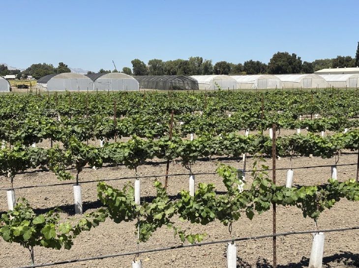 Mendocino View Farms Colusa County, CA