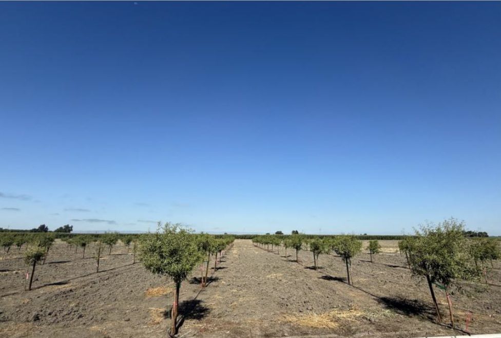 Mendocino View Farms Colusa County, CA