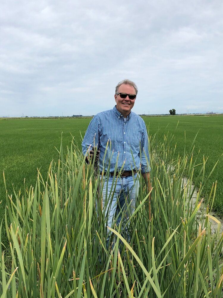 A man is standing in a field of tall grass.