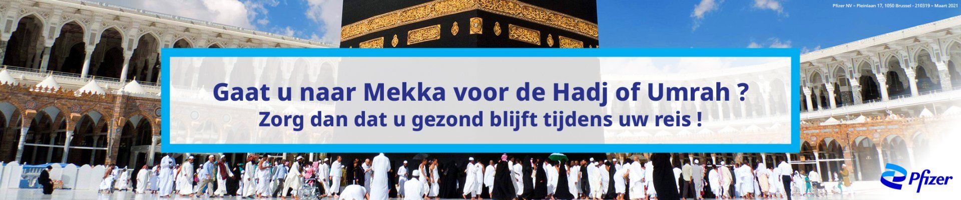 Download de brochure