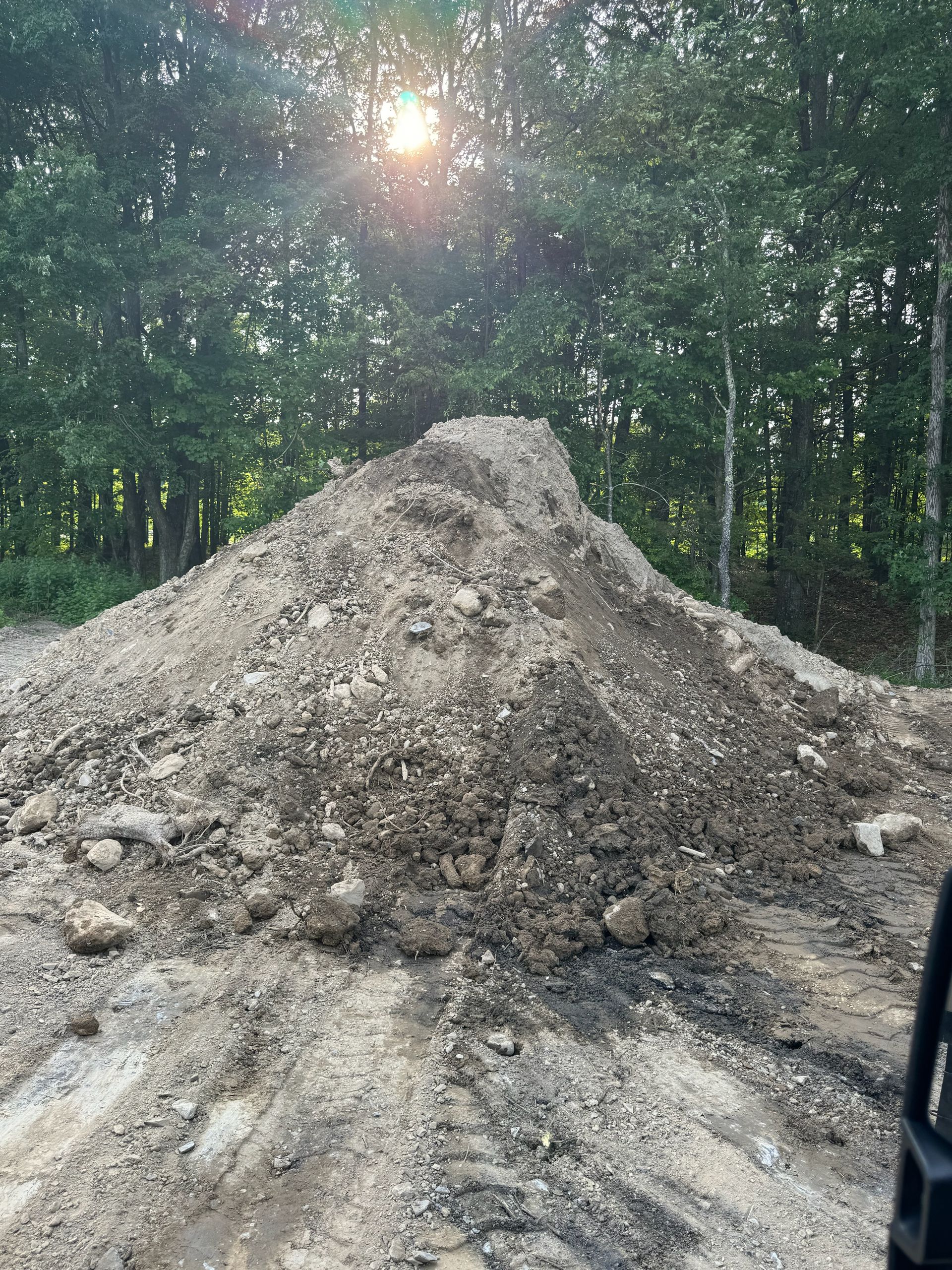 A large pile of dirt is sitting in the middle of a forest.