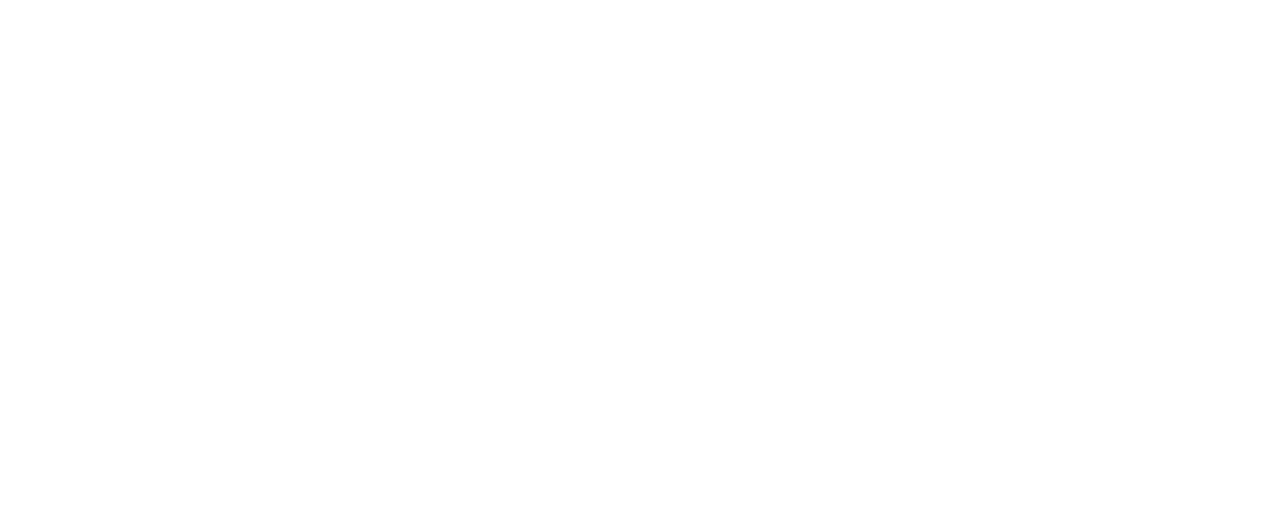 Tampa Welding Logo