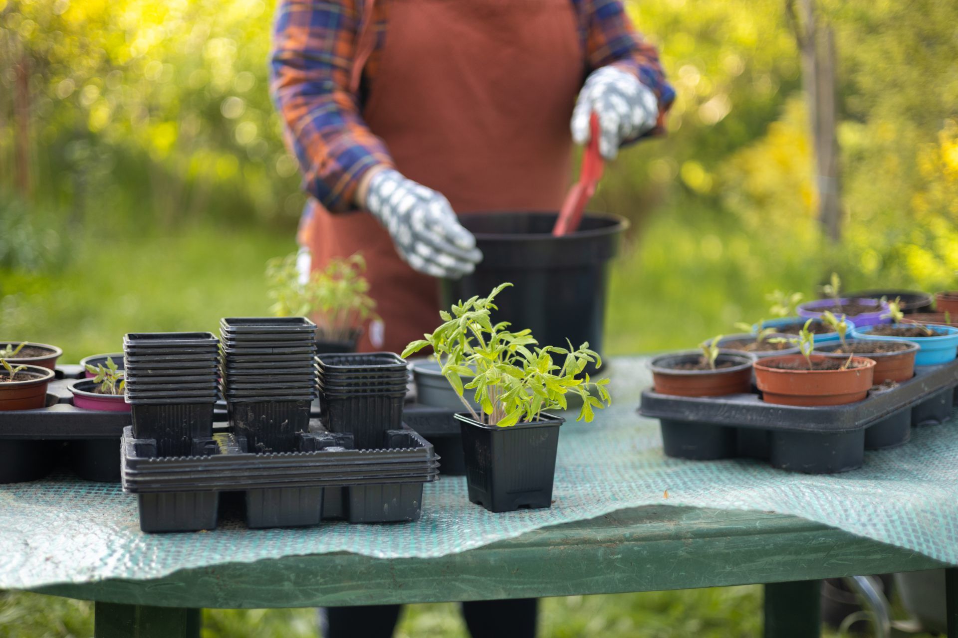 A woman is planting plants in pots on a table.